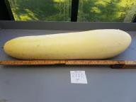 Click for 2 image(s) for this accession. Fruit